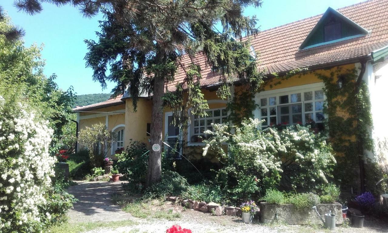 Villa-Magdi Vendeghaz Révfülöp Eksteriør billede