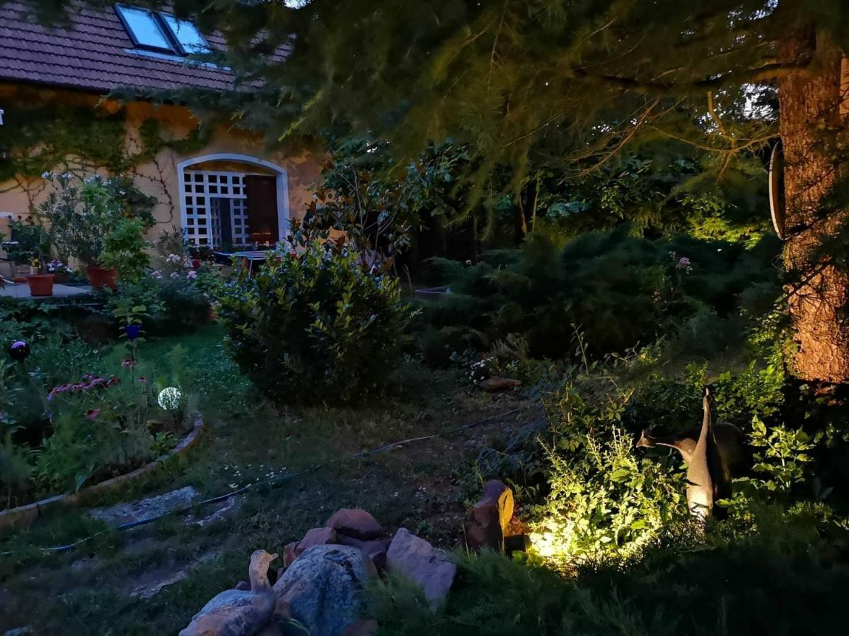 Villa-Magdi Vendeghaz Révfülöp Eksteriør billede